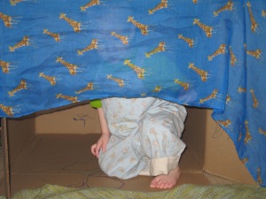 Peek-a-boo baby. He loved that he could sit inside the box and see me and Daddy through the scarf.