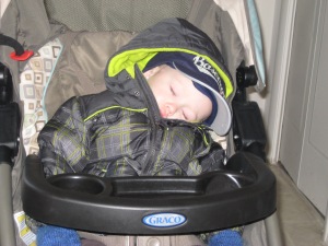 Oops, went for too long of a walk and put him to sleep in the stroller!