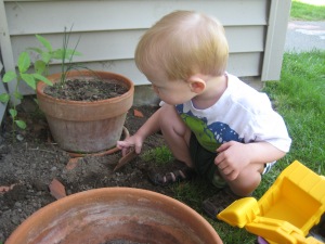 Lewis' favorite place outside our apartment: Digging in the dirt and checking for bugs under pots.