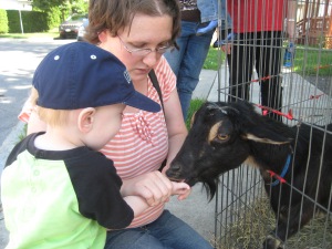 Feeding the goat at the Strawberry Fest petting zoo.