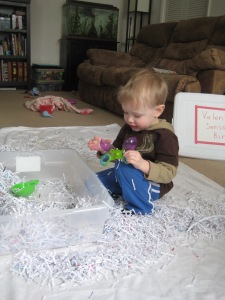 Our newest, and messiest ever, sensory bin material: shredded paper. My mess catcher sheet proved absolutely useless and there were bits of paper covering every bit of living room carpet and also spread into every other room of the house. We got to do a fun activity called "vacuuming" once he was done playing.